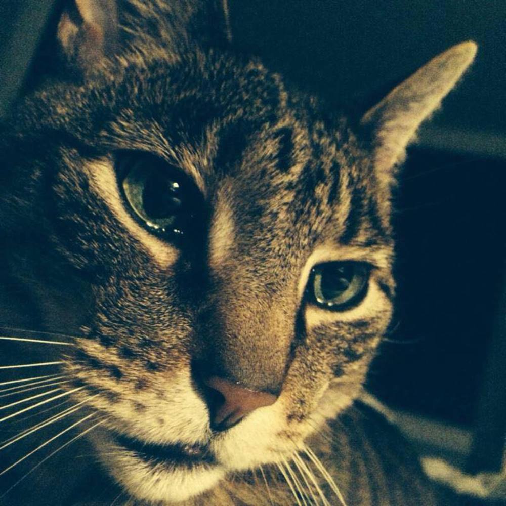 Meet your Posher, Eva